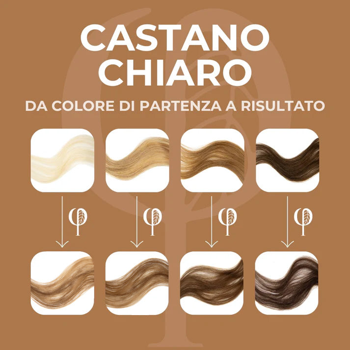 Tinta Capelli - Phillacolor® Hair