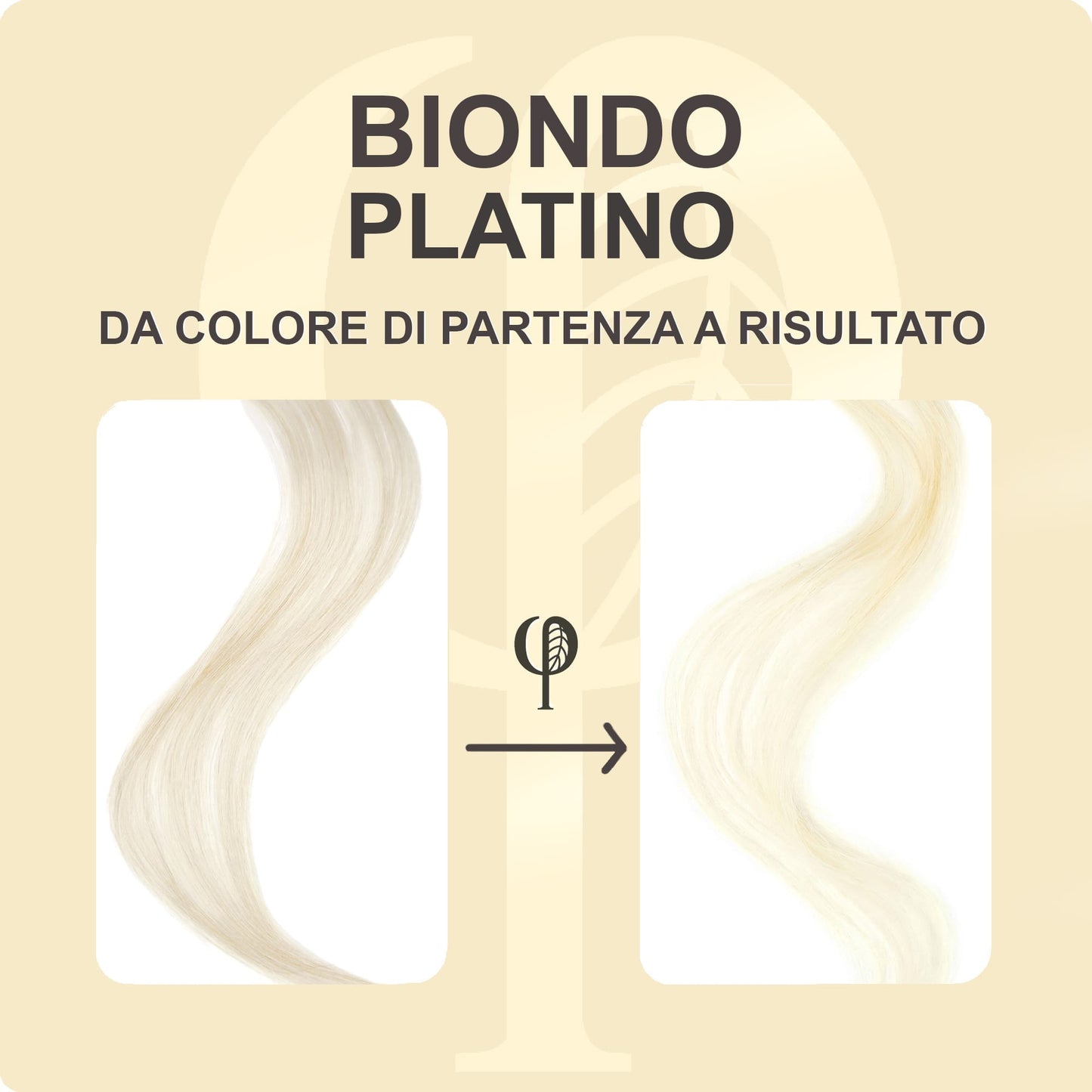 Shampoo colorante- Ricarica