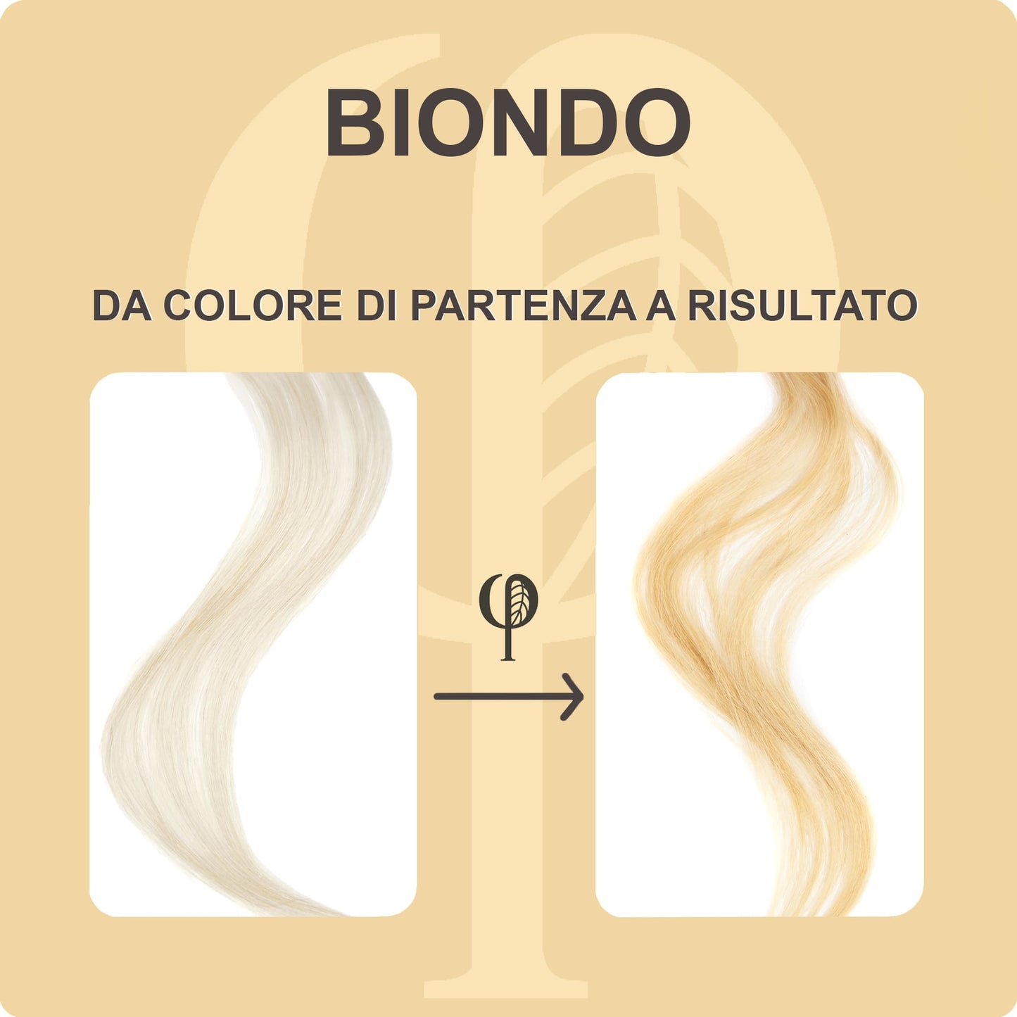 Shampoo colorante- Ricarica